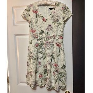 Ann Taylor Eyelet Floral Print Dress